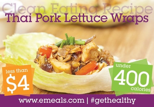 thai-pork-lettuce-wraps_4-400