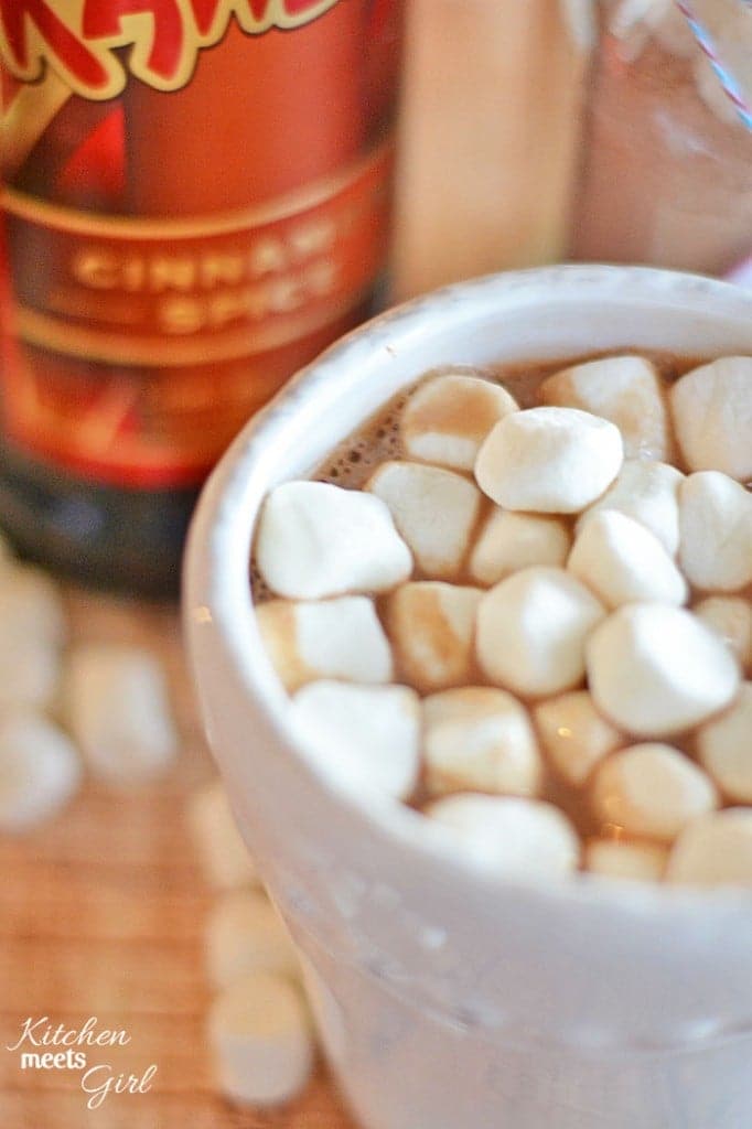 The BEST Homemade Hot Chocolate Mix - ever!