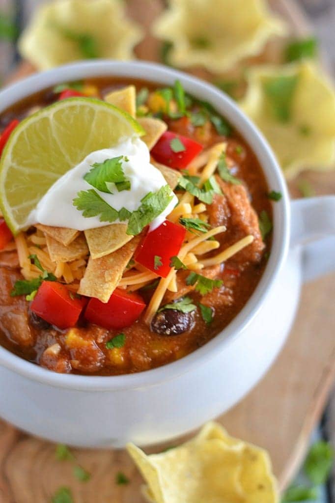 This Chicken Tortilla Soup is full of flavor, is easy to throw together, and is perfect for warming up on a cold night! If you like Mexican flavors, you're going to love this soup!