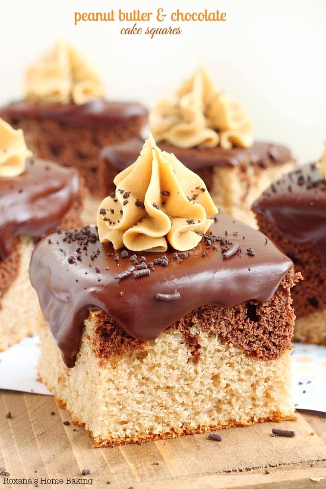 peanut-butter-and-chocolate-cake-squares-recipe-1