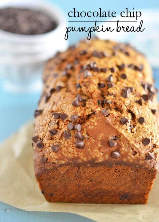 With a blend of chocolate, pumpkin, and fall spices, this Chocolate Chip Pumpkin Bread is a must for your fall baking list!