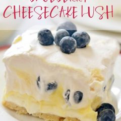 This Blueberry Cheesecake Lush is a quick and simple dessert recipe for your spring and summer get-togethers.  Layers of cream cheese, Cool Whip, pudding and fresh fruit make this a breeze to assemble!